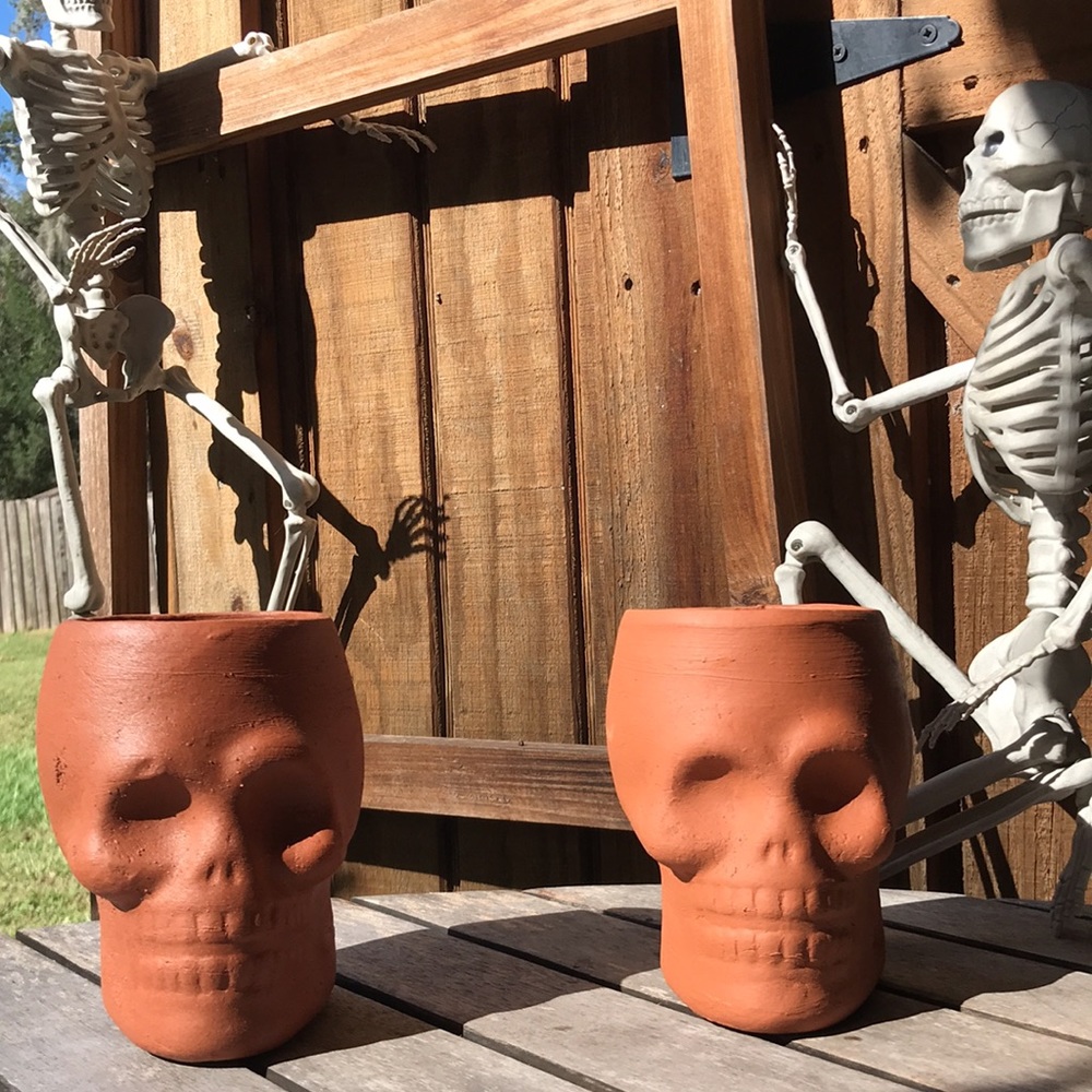 West Elm Spooky and Unique Handcrafted Terracotta Skull Vases - Set of 2 💀